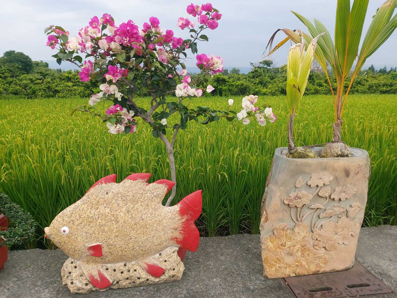 魚造型石雕