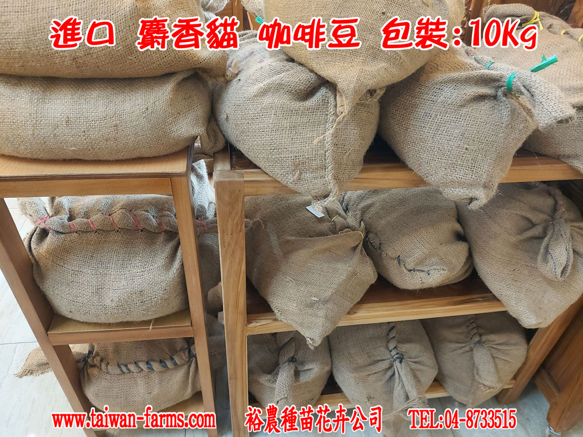 麝香咖啡豆10KG包裝